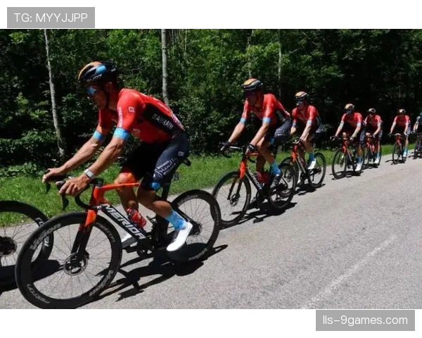 意大利税务部门对某车队工厂进行搜查